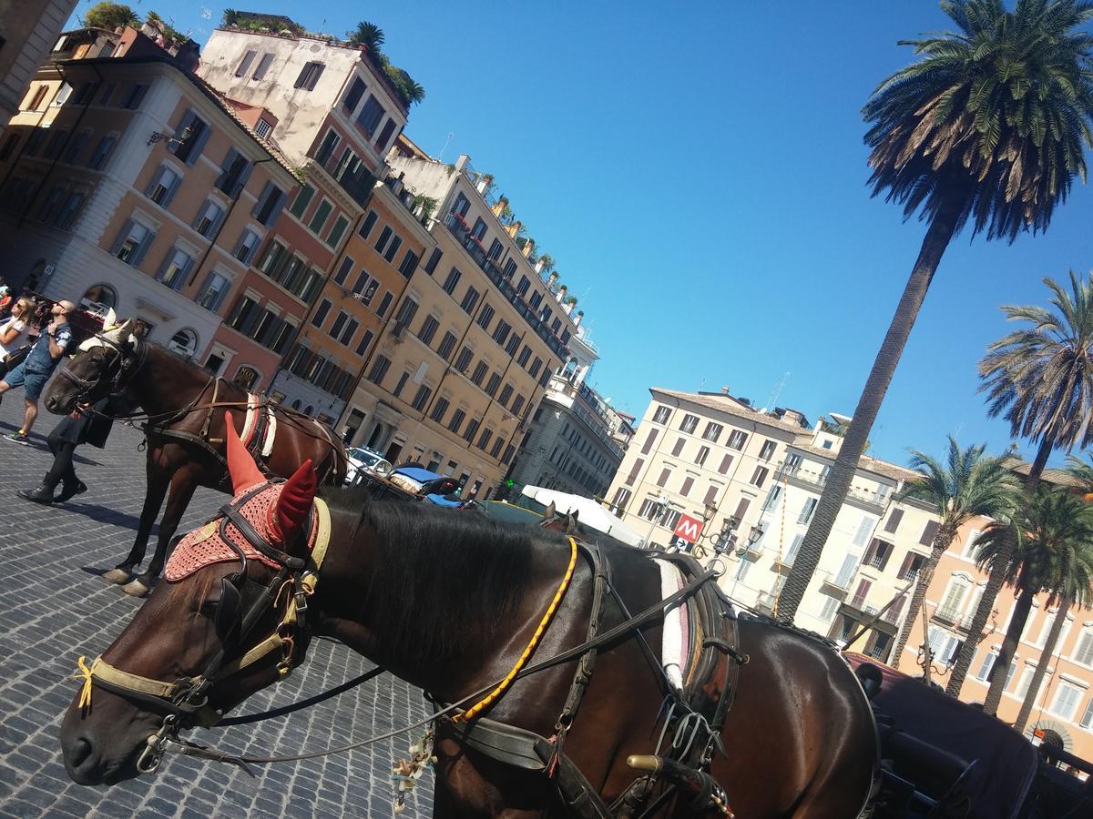 Gasthof Piazza Di Spagna De Charme Rom